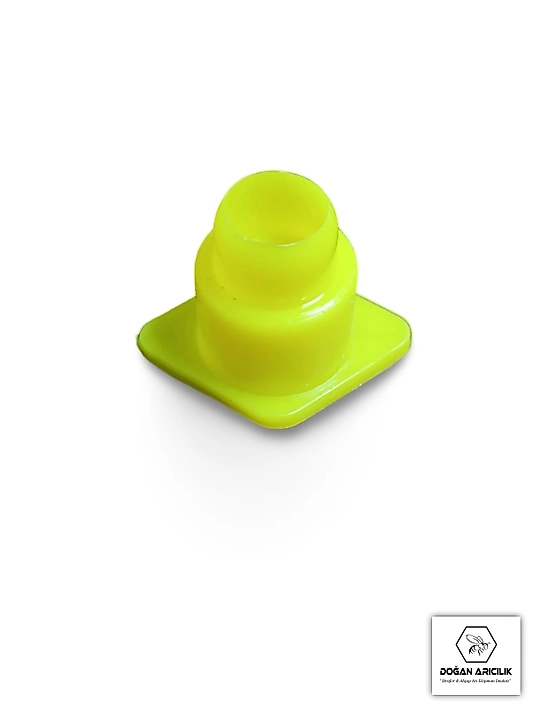 Sarı Nikot Yatağı (DGN-214)