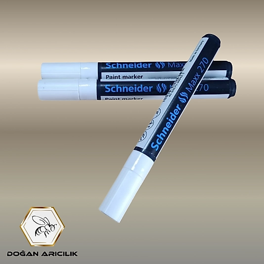 Ana Arı Boyama Kalemi (DGN-211)