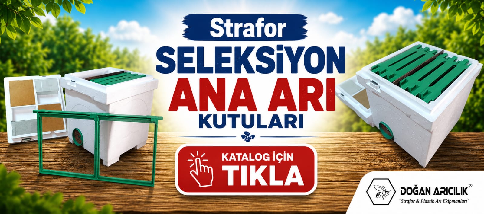 Strafor Seleksiyon Ana Kutuları